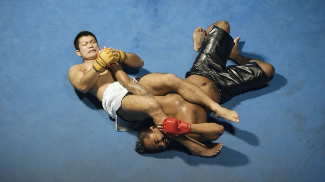 MMA: sport photo (no recognisable faces)