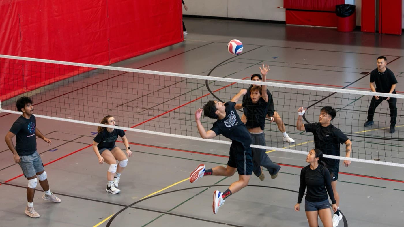 Volleyball: sport photo (no recognisable faces)
